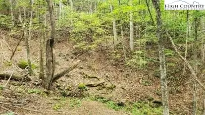 Fall Creek Meadows Fall Creek Meadows Lane, Elk Park, NC 28622