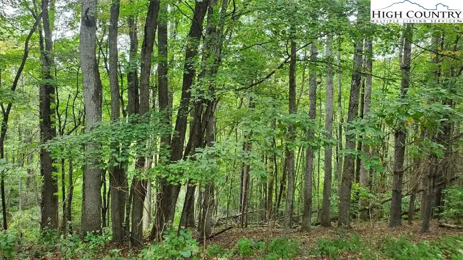 Fall Creek Meadows Fall Creek Meadows Lane, Elk Park, NC 28622 - Image #2