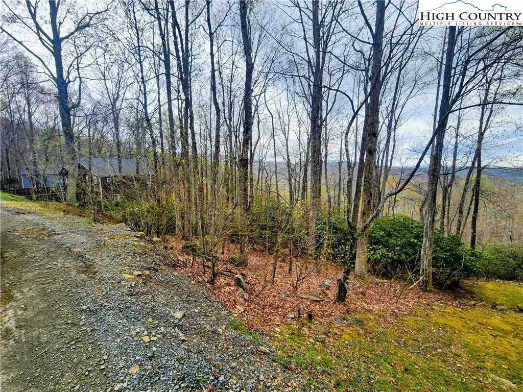 103 Bear Paw Path, Beech Mountain, NC 28604 - Image #1