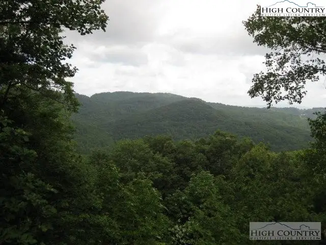 103 Bear Paw Path, Beech Mountain, NC 28604 - Image #3