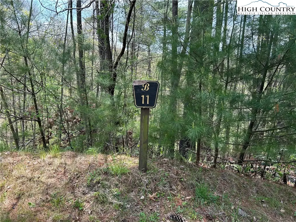 TBD New River Overlook (lot 11) Road, West Jefferson, NC 28694 - Image #1