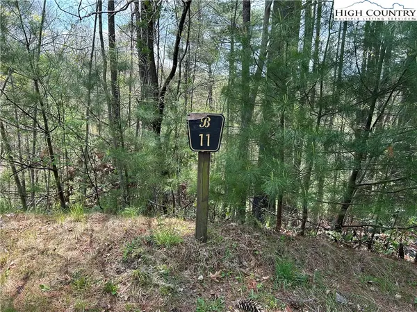 TBD New River Overlook (lot 11) Road, West Jefferson, NC 28694