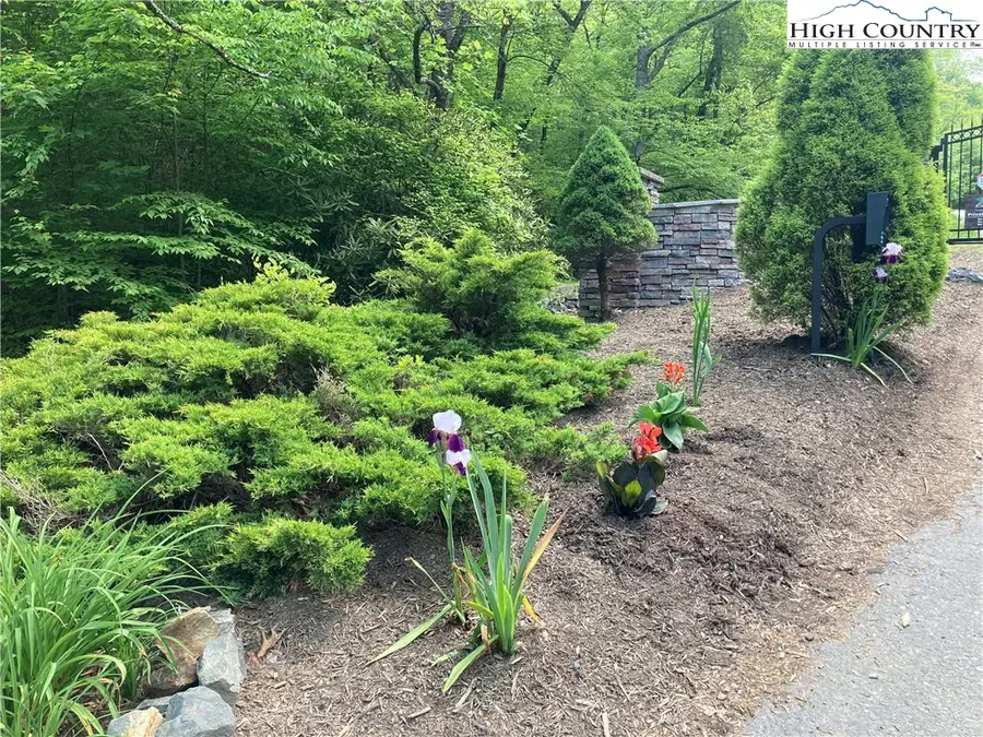 TBD New River Overlook (lot 11) Road, West Jefferson, NC 28694 - Image #3