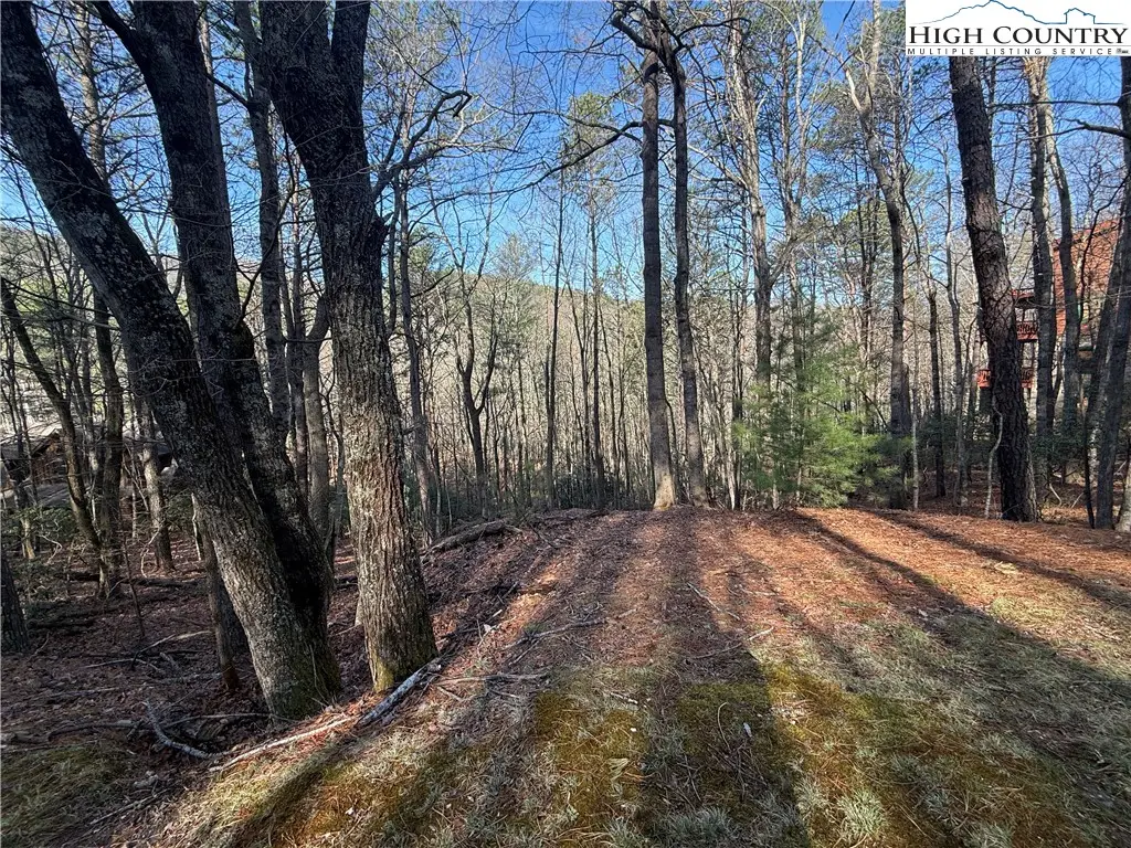 TBD W. Laurel Circle, Deep Gap, NC 28618 - Image #1