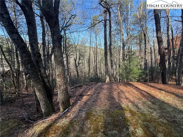 TBD W. Laurel Circle, Deep Gap, NC 28618