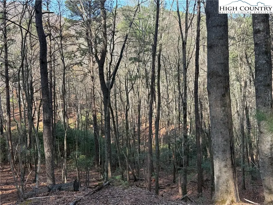 TBD W. Laurel Circle, Deep Gap, NC 28618 - Image #2
