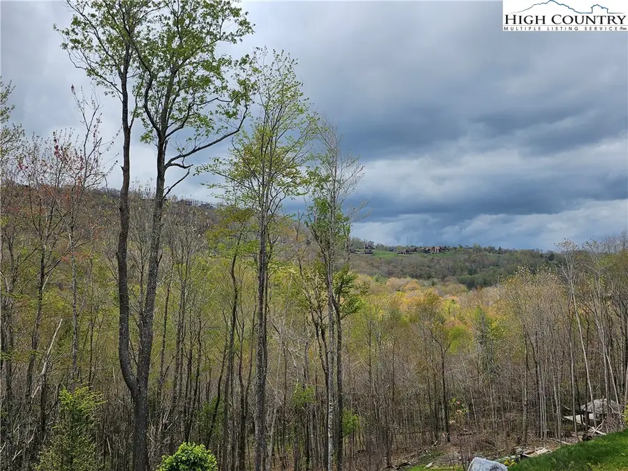 65 Rippling Waters Trail, Banner Elk, NC 28604 - Image #3