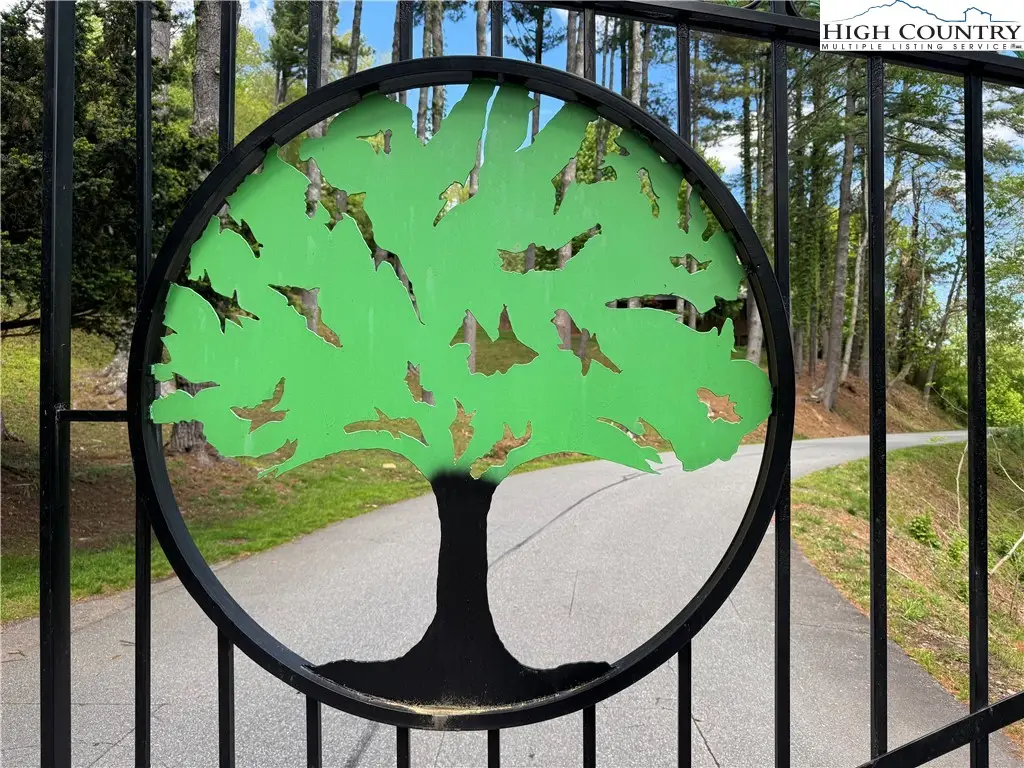 lot 50 Fire Pink Road, Boone, NC 28607 - Image #1