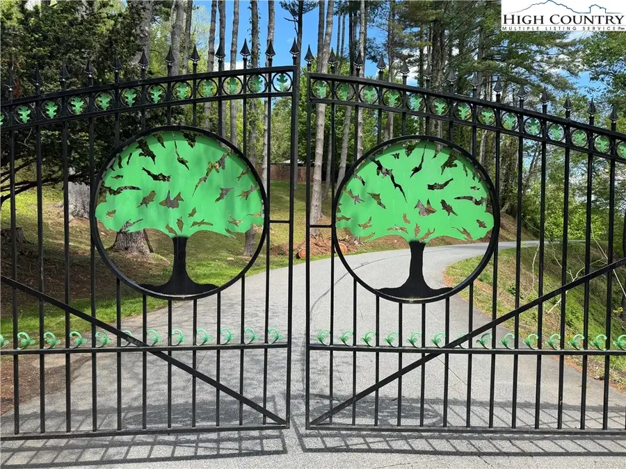 lot 50 Fire Pink Road, Boone, NC 28607 - Image #3