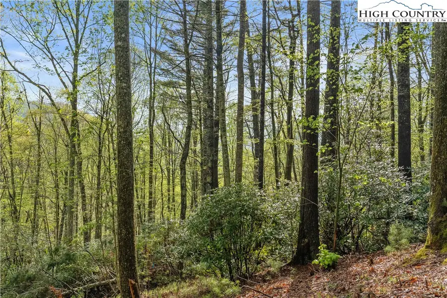 TBD Springhollow Road, Banner Elk, NC 28604 - Image #2
