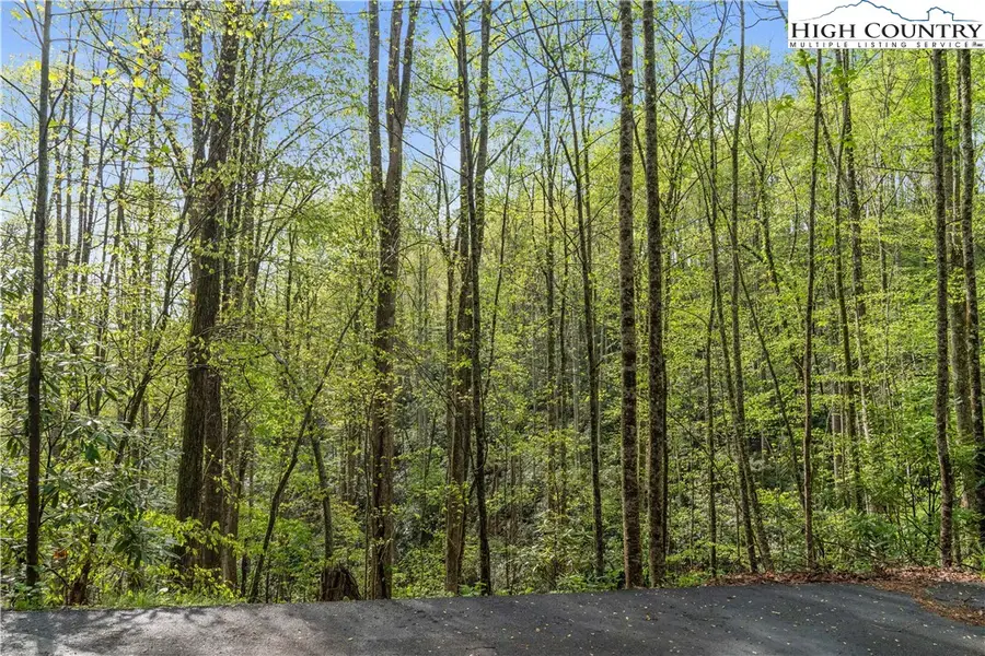 TBD Springhollow Road, Banner Elk, NC 28604 - Image #3