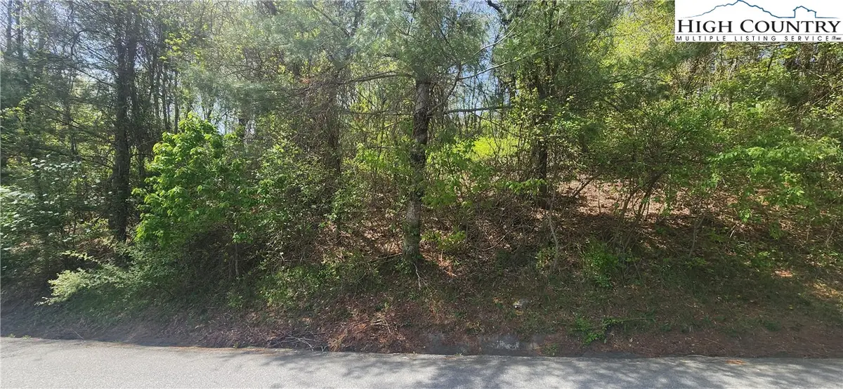 547 White Laurel Lane, Boone, NC 28607 - Image #1