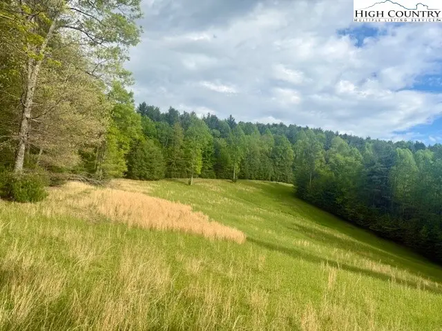 TBD New Hope Church Road, Laurel Springs, NC 28644 - Image #1