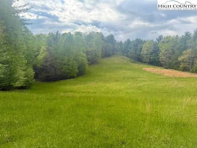 TBD New Hope Church Road, Laurel Springs, NC 28644 - Image #2