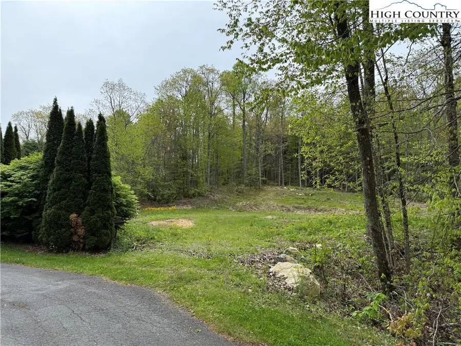 287 Cougar Run, Linville, NC 28646 - Image #2