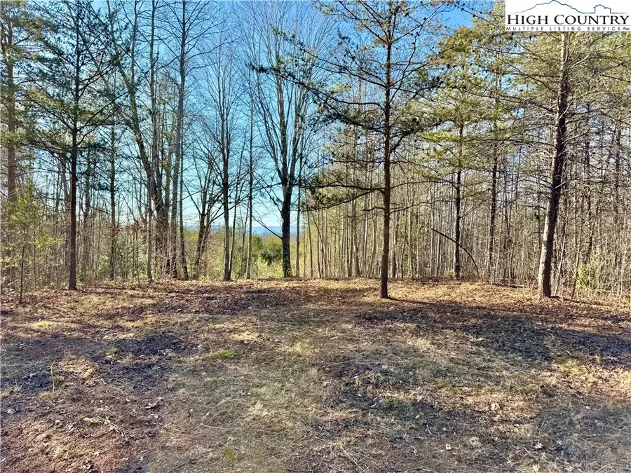 54.2 acres, Lot 837 High Valley Way, Lenoir, NC 28645 - Image #3