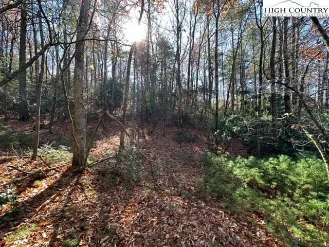 Lot 27 Walden Lane, West Jefferson, NC 28694 - Image #1