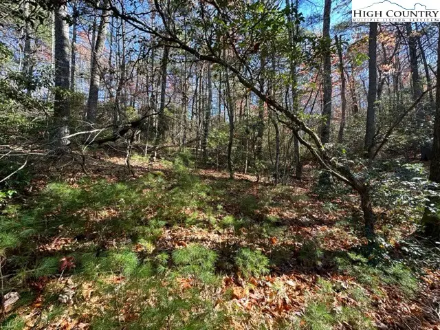Lot 27 Walden Lane, West Jefferson, NC 28694 - Image #2
