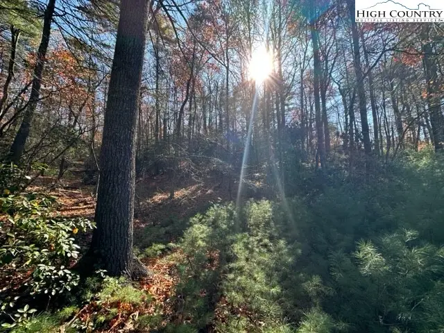 Lot 27 Walden Lane, West Jefferson, NC 28694 - Image #3