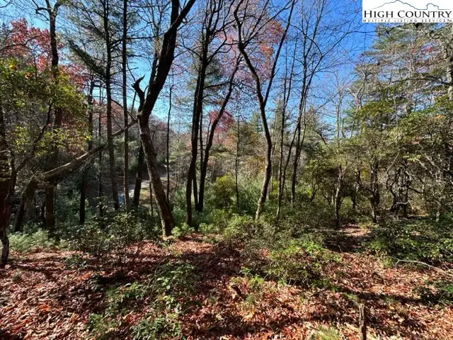 Lot 31 Thoreau Court, West Jefferson, NC 28694 - Image #3