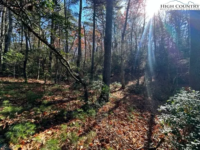 Lot 31 & 32 Thoreau Court, West Jefferson, NC 28694 - Image #1