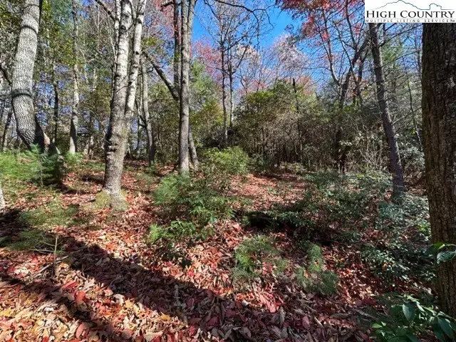 Lot 31 & 32 Thoreau Court, West Jefferson, NC 28694 - Image #2