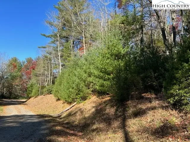 Lot 31 & 32 Thoreau Court, West Jefferson, NC 28694 - Image #3