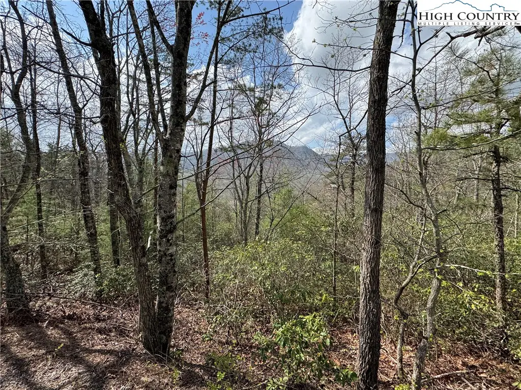 TBD Cherokee Trail, Marion, NC 28752 - Image #1