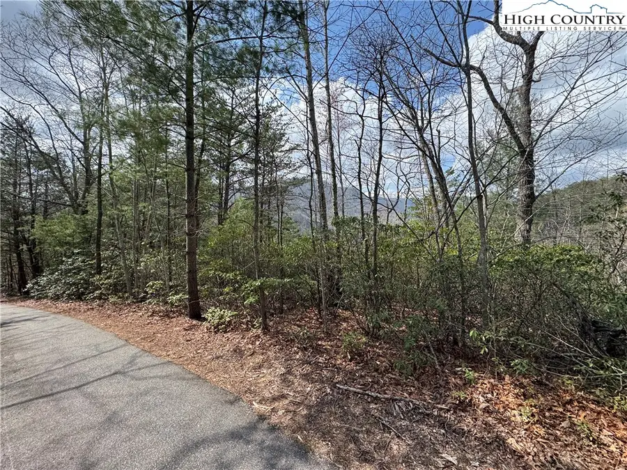 TBD Cherokee Trail, Marion, NC 28752 - Image #2