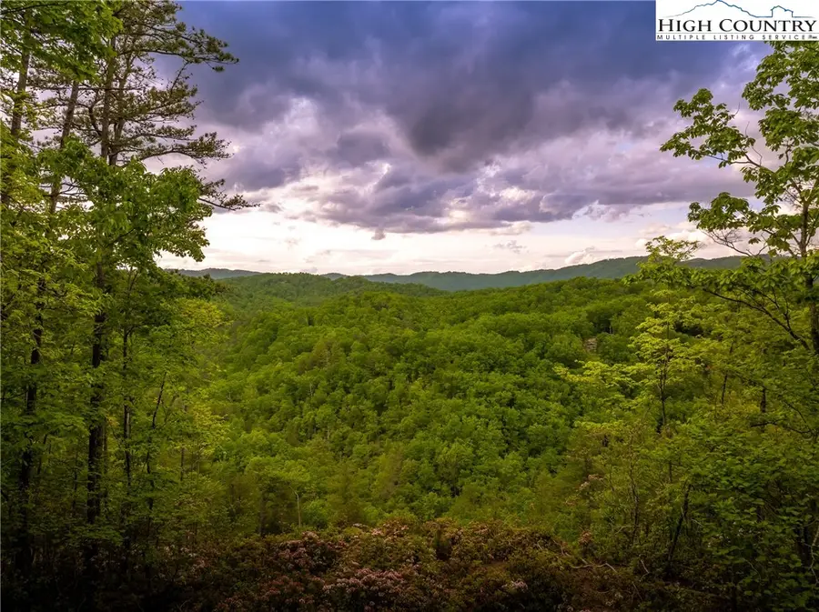 289 Ninebark Road, Boone, NC 28607 - Image #2