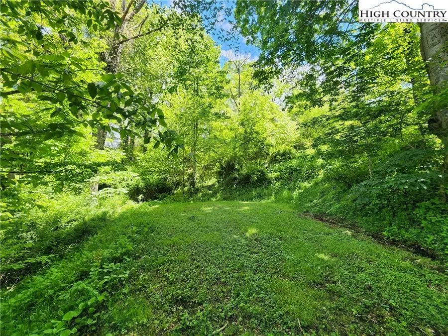Lot 16 Rose Cliff Ln, Sugar Grove, NC 28679 - Image #2