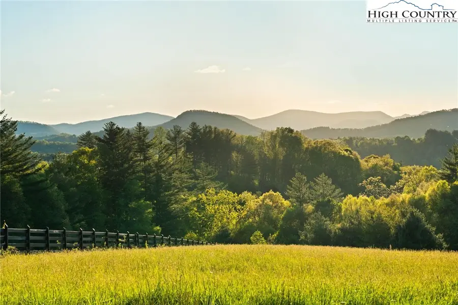 Lot 9 Sunrise Way, Obids, NC 29694 - #3