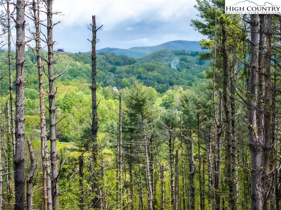 WR-60 Clouds Rest Drive, Elk Park, NC 28622 - Image #2
