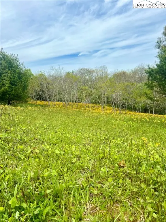 TBD Junaluska Road, Boone, NC 28607 - Image #2