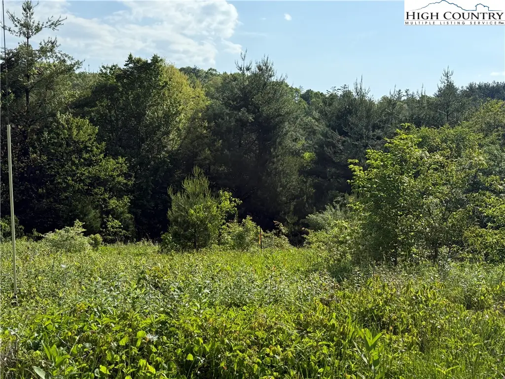 TBD Holly Ridge Road, West Jefferson, NC 28694 - Image #1