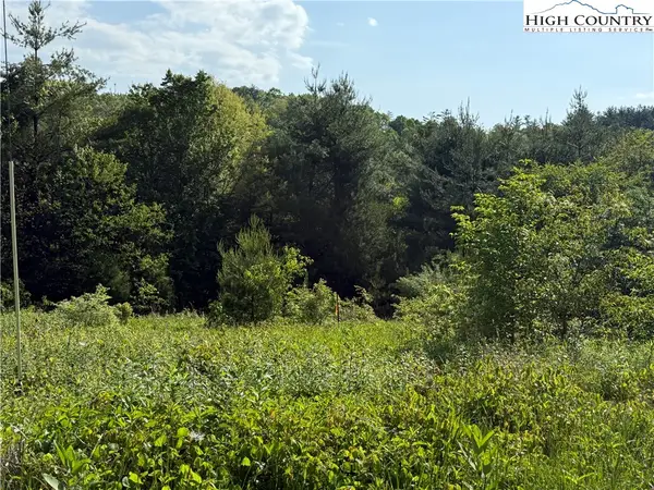 TBD Holly Ridge Road, West Jefferson, NC 28694