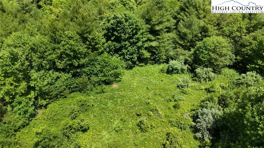 TBD Holly Ridge Road, West Jefferson, NC 28694 - Image #2