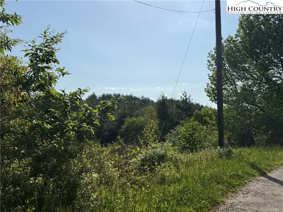 TBD Holly Ridge Road, West Jefferson, NC 28694 - Image #3