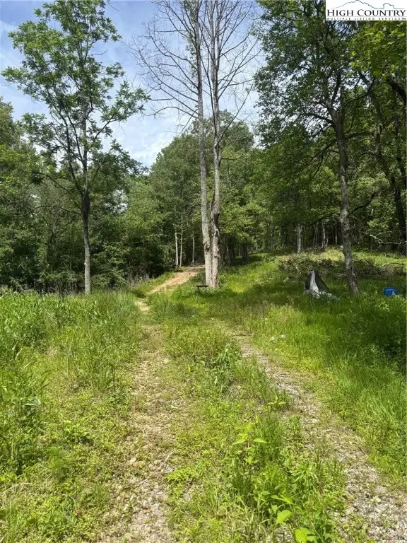 TBD Round Hill Church Road, Traphill, NC 28685 - Image #1