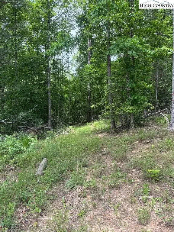 TBD Round Hill Church Road, Traphill, NC 28685 - Image #2