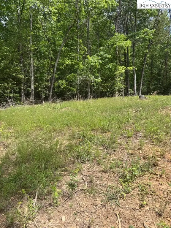 TBD Round Hill Church Road, Traphill, NC 28685 - Image #3