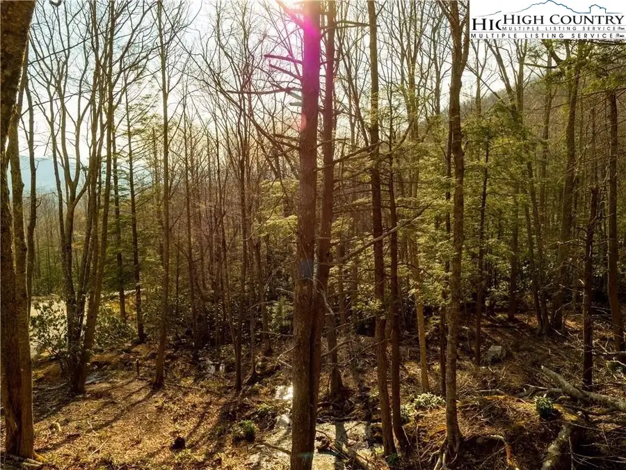 S35 Sky Rock Drive, Banner Elk Township, NC 28622 - Image #3