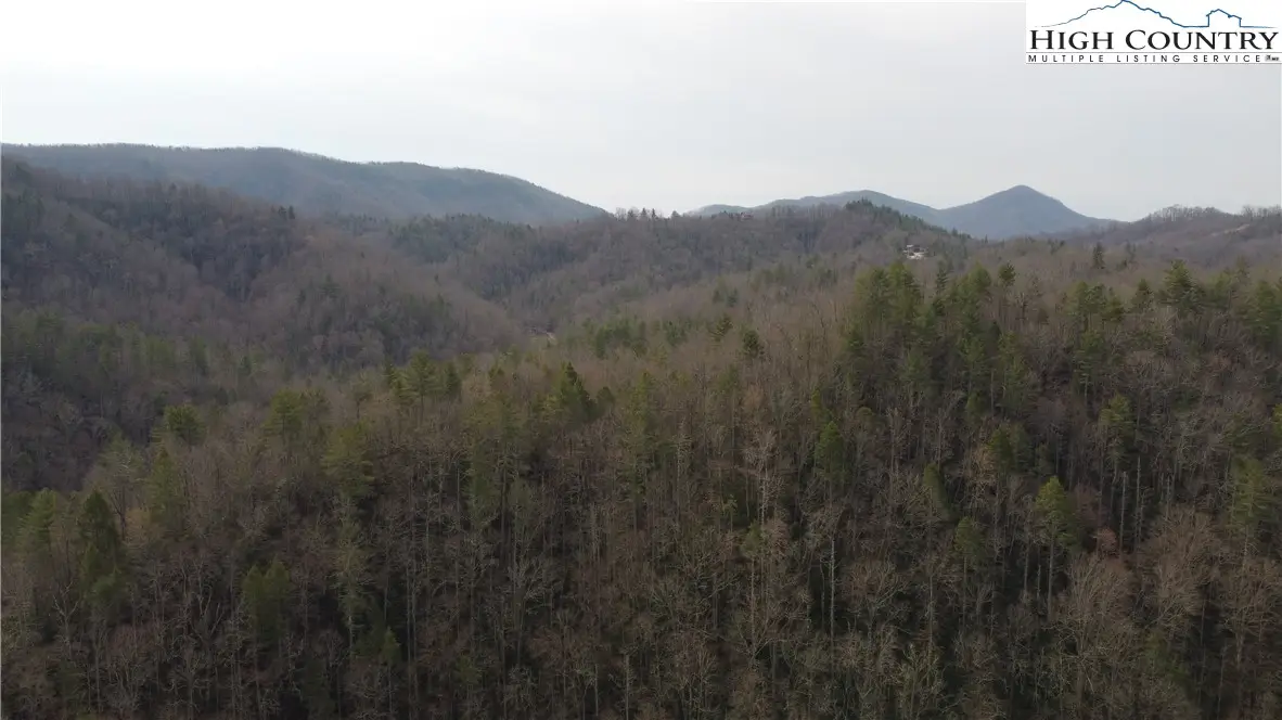 0 Elk Creek Darby Road, Ferguson, NC 28624 - Image #1