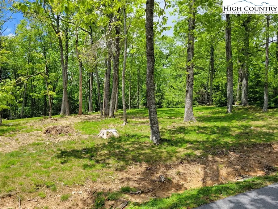 Lot 1 High Hemlock Trail, Blowing Rock, NC 28605 - #2