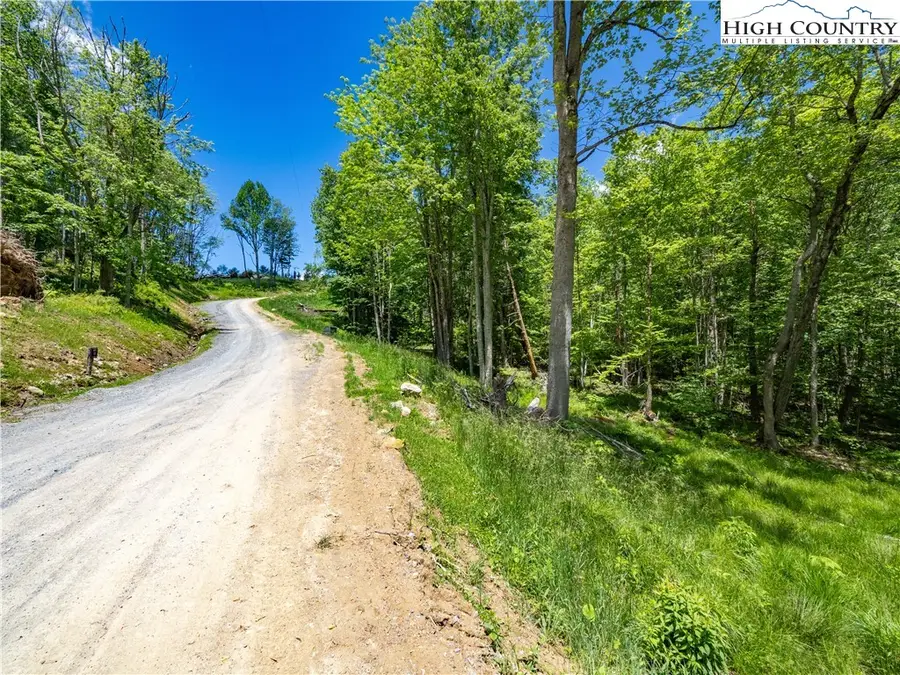 WR33 Sierra Trail, Elk Park, NC 28622 - Image #2