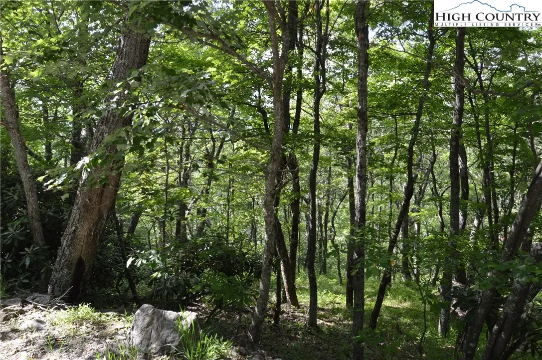 TBD Rocky Mountain Road, Sparta, NC 28675 - Image #1