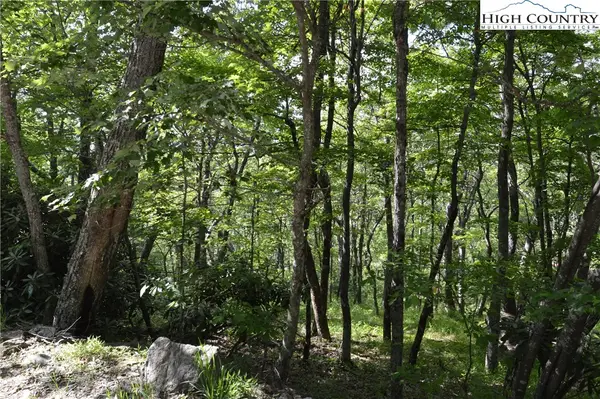 TBD Rocky Mountain Road, Sparta, NC 28675