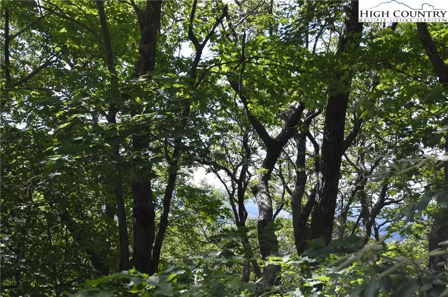 TBD Rocky Mountain Road, Sparta, NC 28675 - Image #3