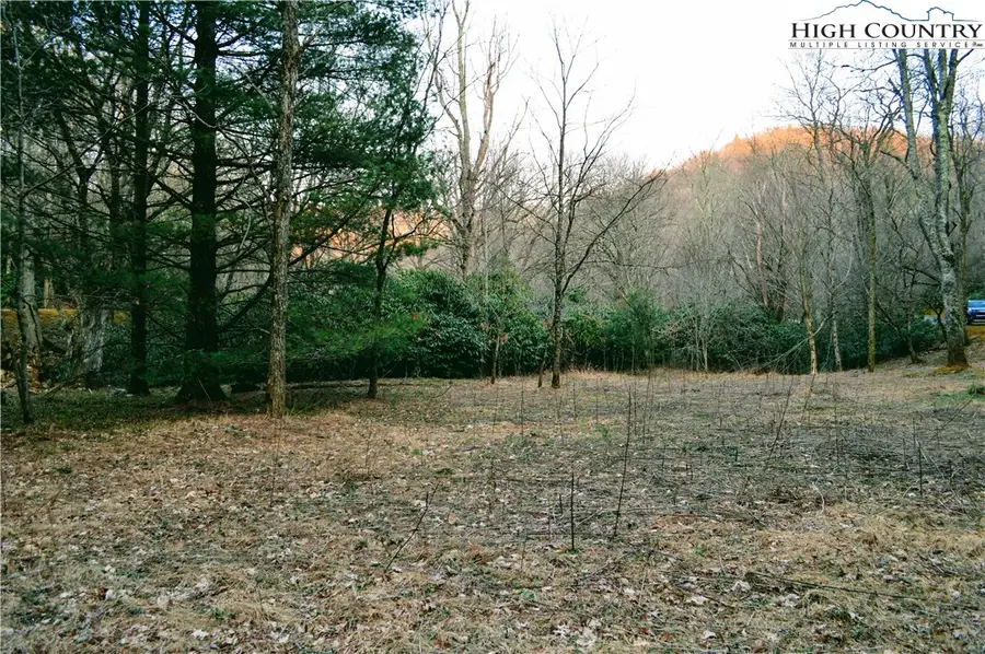 Lot 101 Beaver Lodge Trail, Blowing Rock, NC 28605 - Image #3