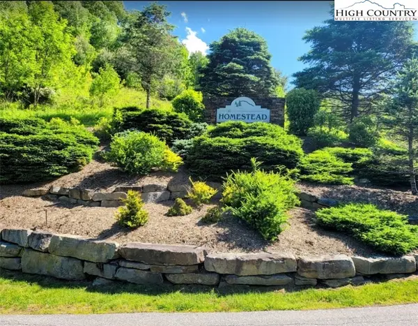 TBD Lucky Leaf Lane, Vilas, NC 28692